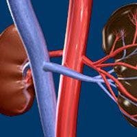 Survey Indicates Urgent Need For COVID-19 Testing in Vulnerable Patients With Kidney Cancer
