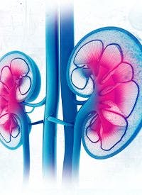 The National Comprehensive Cancer Network has updated its Clinical Practice Guidelines to include tivozanib as a recommended regimen for subsequent therapy in patients with clear cell renal cell carcinoma.