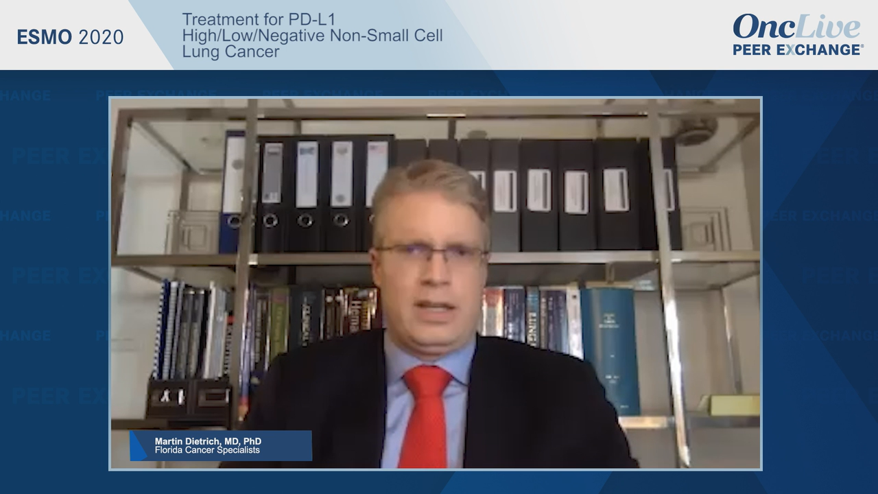 Treatment for PD-L1 High/Low/Negative Non–Small Cell Lung Cancer