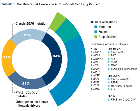 Figure 1. The Mutational Landscape in Non–Small Cell Lung Cancer2