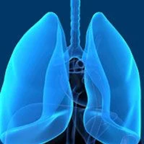 Capmatinib Approved in Japan for METex14-Altered Advanced NSCLC