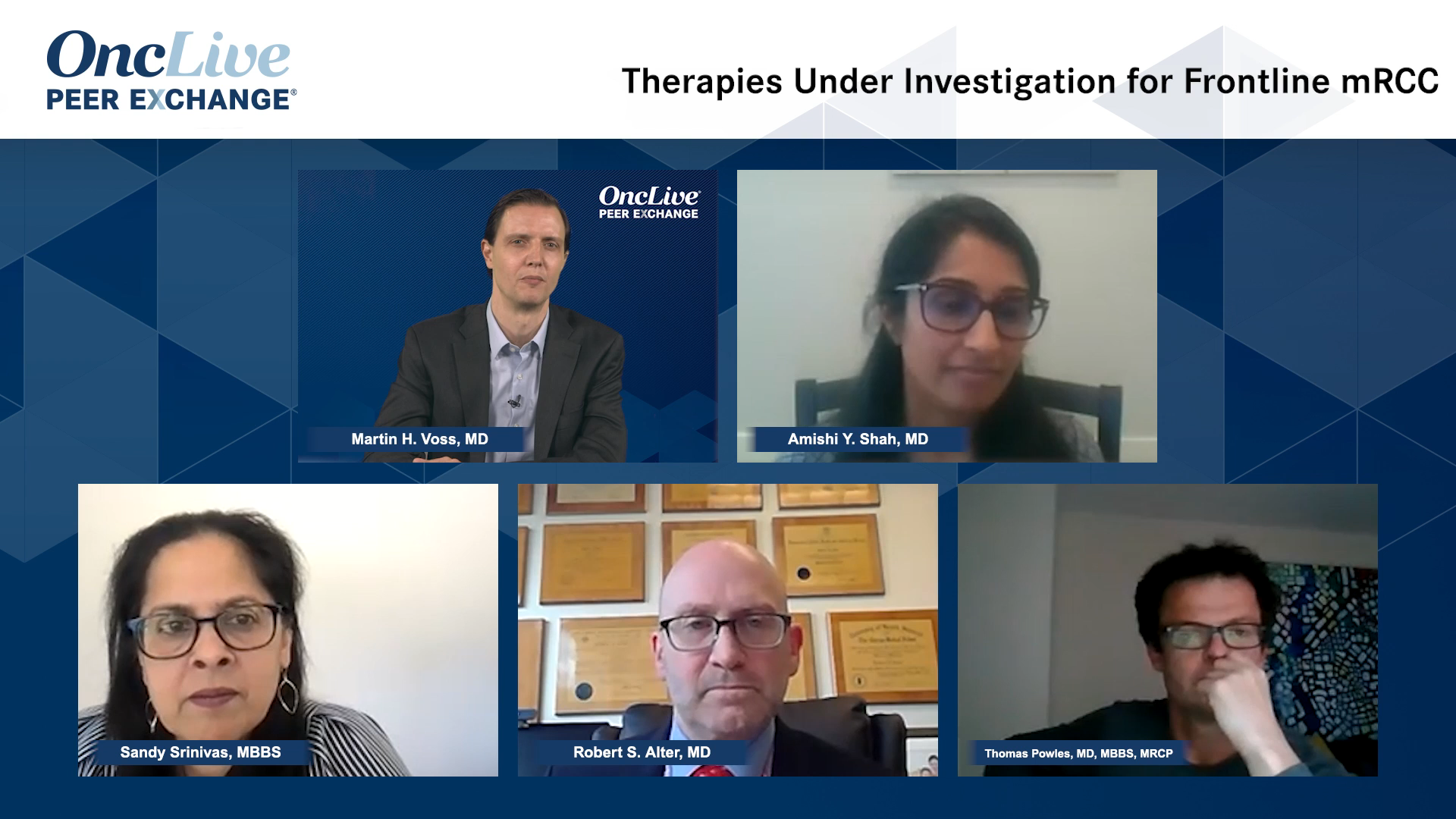 Therapies Under Investigation for Frontline mRCC