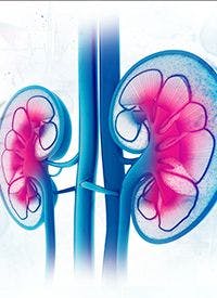 The safety and efficacy of nivolumab, both as a single agent and in combination with ipilimumab, is under investigation in patients with early-stage, high-risk renal cell carcinoma following radical or partial nephrectomy in the phase 3 CheckMate-914 trial.