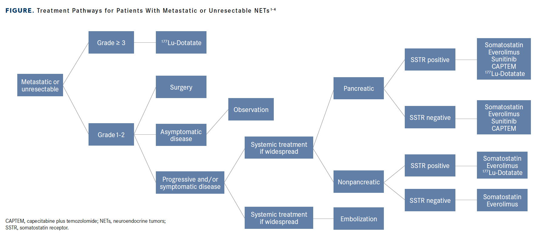 Figure. Treatment Pathways for Patients With Metastatic or Unresectable NETs1-4