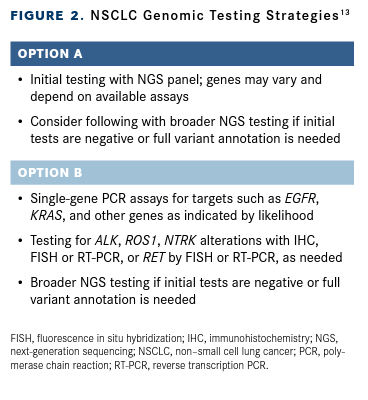 Figure 2. NSCLC Genomic Testing Strategies13