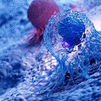 Emerging Uses for Circulating Tumor Cell Technology