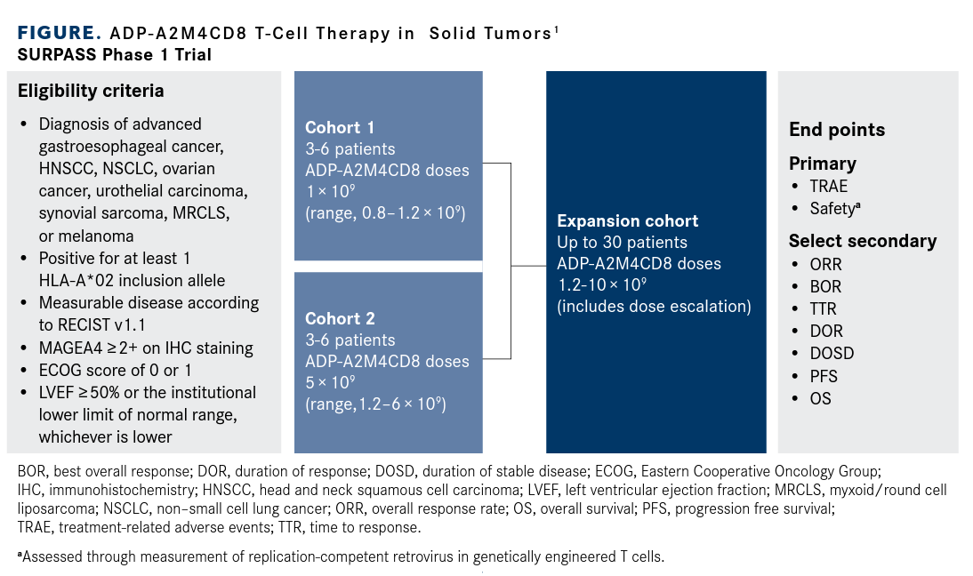 ADP-A2M4CD8 T-Cell Therapy in  Solid Tumors