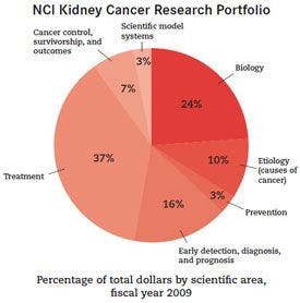  NCI Kidney Cancer Research Portfolio