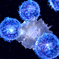Maveropepimut-S Plus Pembrolizumab and Cyclophosphamide Shows Early Promise in R/R DLBCL