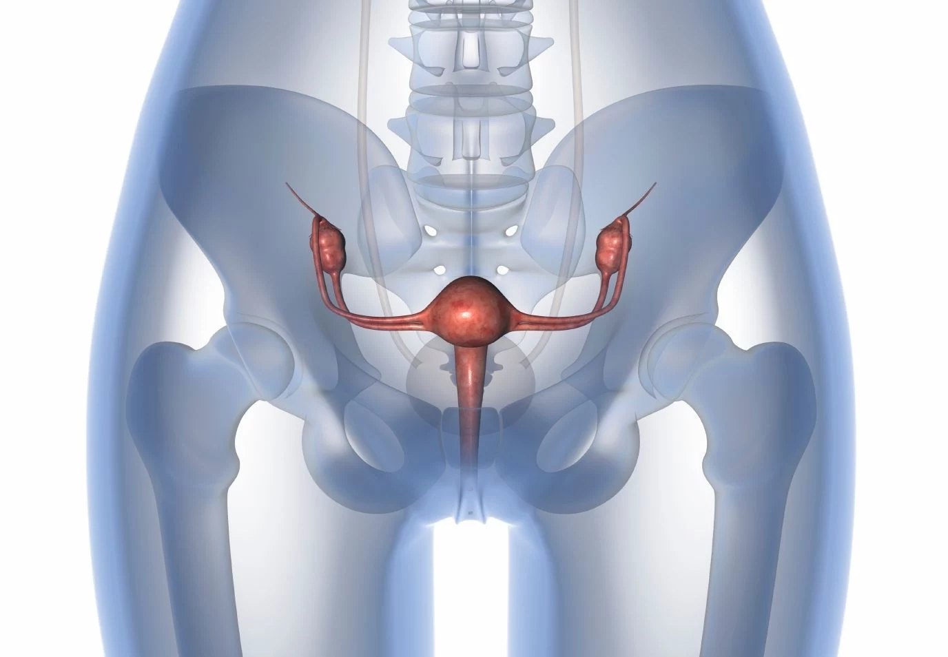 The combination of mirvetuximab soravtansine and rucaparib was found to be well tolerated, with encouraging activity reported in heavily pretreated patients with endometrial, ovarian, fallopian tube, or primary peritoneal cancer.