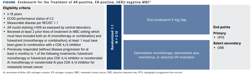   Enobosarm for the Treatment of AR-positive, ER-positive, HER2-negative MBC4