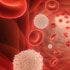 Revlimid Results for Multiple Myeloma Deemed "Historic"