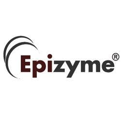 Epizyme Maintains Independence, Advances HMT-Inhibitor Platform