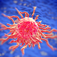 Molecular and immune landscapes for solid tumors are constantly evolving as precision medicine techniques become more sensitive and next-generation sequencing methods are taken up in clinical practice.