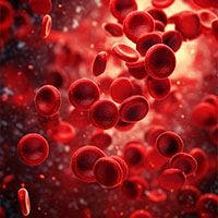 Red blood cell | - stock.adobe.com