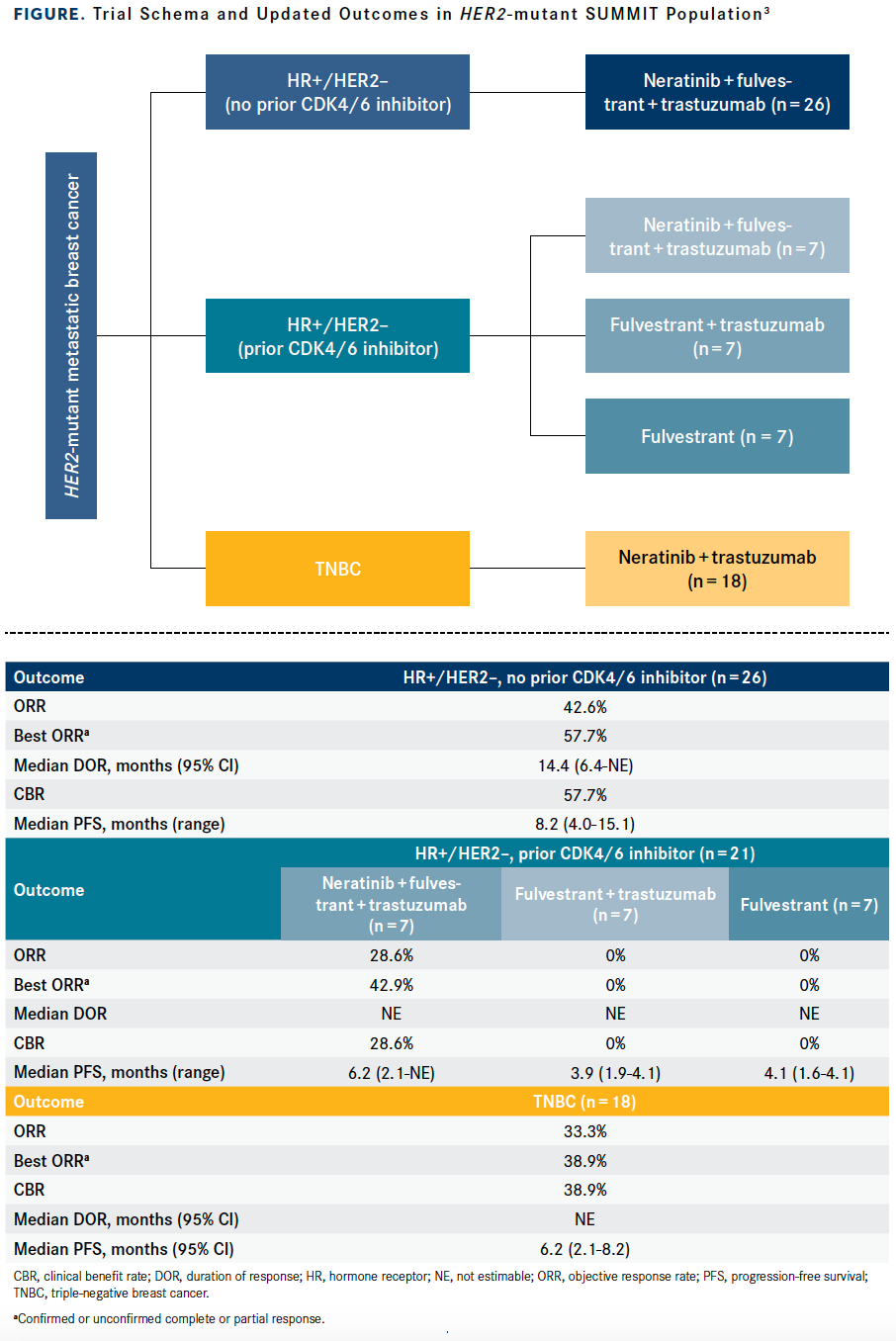 Figure. Trial Schema and Updated Outcomes in HER2-mutant SUMMIT Population3