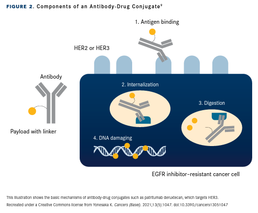 Figure 2. Components of an Antibody-Drug Conjugate9