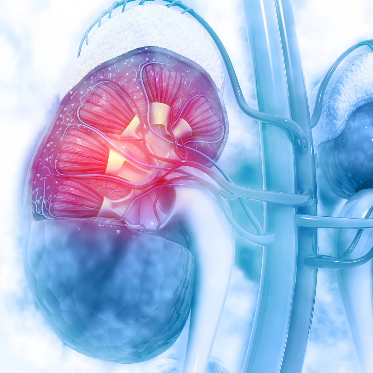 Patients with advanced renal cell carcinoma reported improved health-related quality of life, when treated with nivolumab plus cabozantinib, compared to treatment with sunitinib.